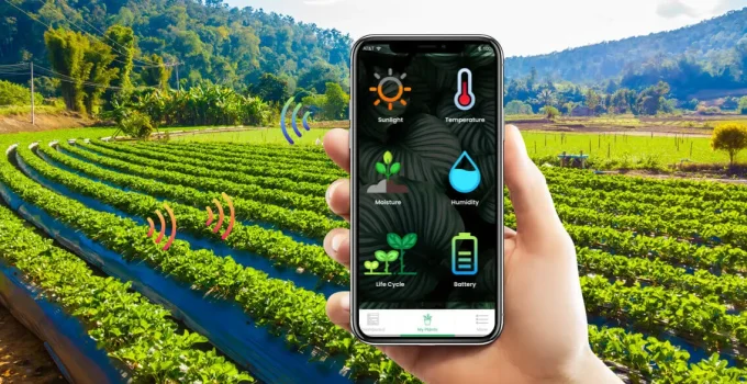 Examples of successful smart agriculture projects