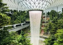 The Power of Biophilic Design: Enhancing Urban Architecture with Nature’s Influence