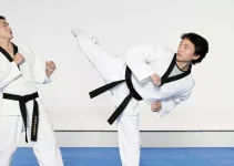 Taekwondo: Lebih dari Sekadar Olahraga, Seni Hidup yang Membentuk Karakter