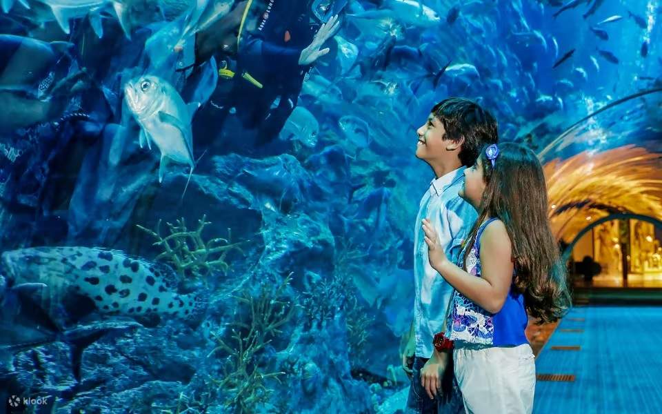 Keajaiban Dubai Aquarium