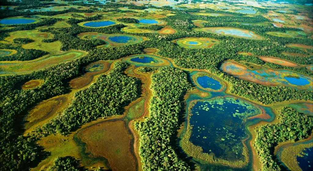Practical Tips for Your Pantanal Brazil Adventure