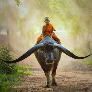 Maha Sarakham