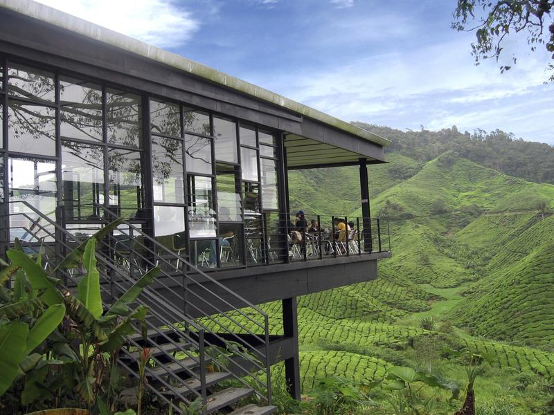 Aktivitas Outdoor di Cameron Highlands