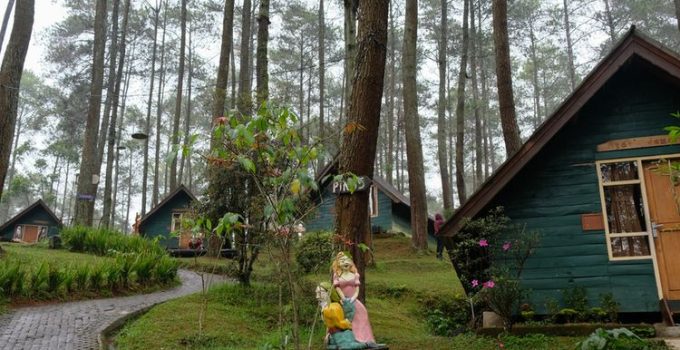 Terminal Wisata Grafika Cikole: Liburan Asik Dingin-Dingin Santai di Tengah Hutan Bandung