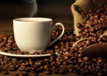 Kopi Gayo: Menyelami Keistimewaan Permata dari Aceh