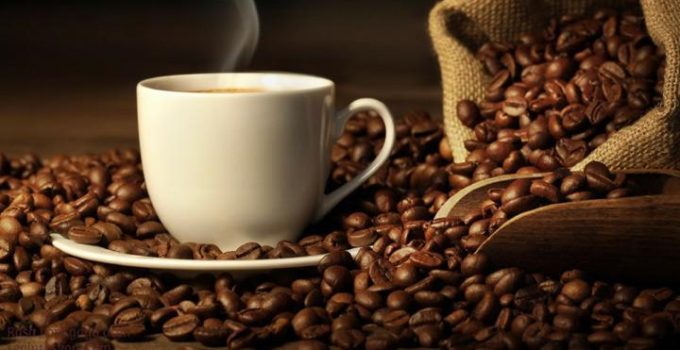 Kopi Gayo