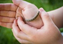 Rahasia Ulat Bulu Laut: Keindahan yang Menyengat di Dunia Bawah Air