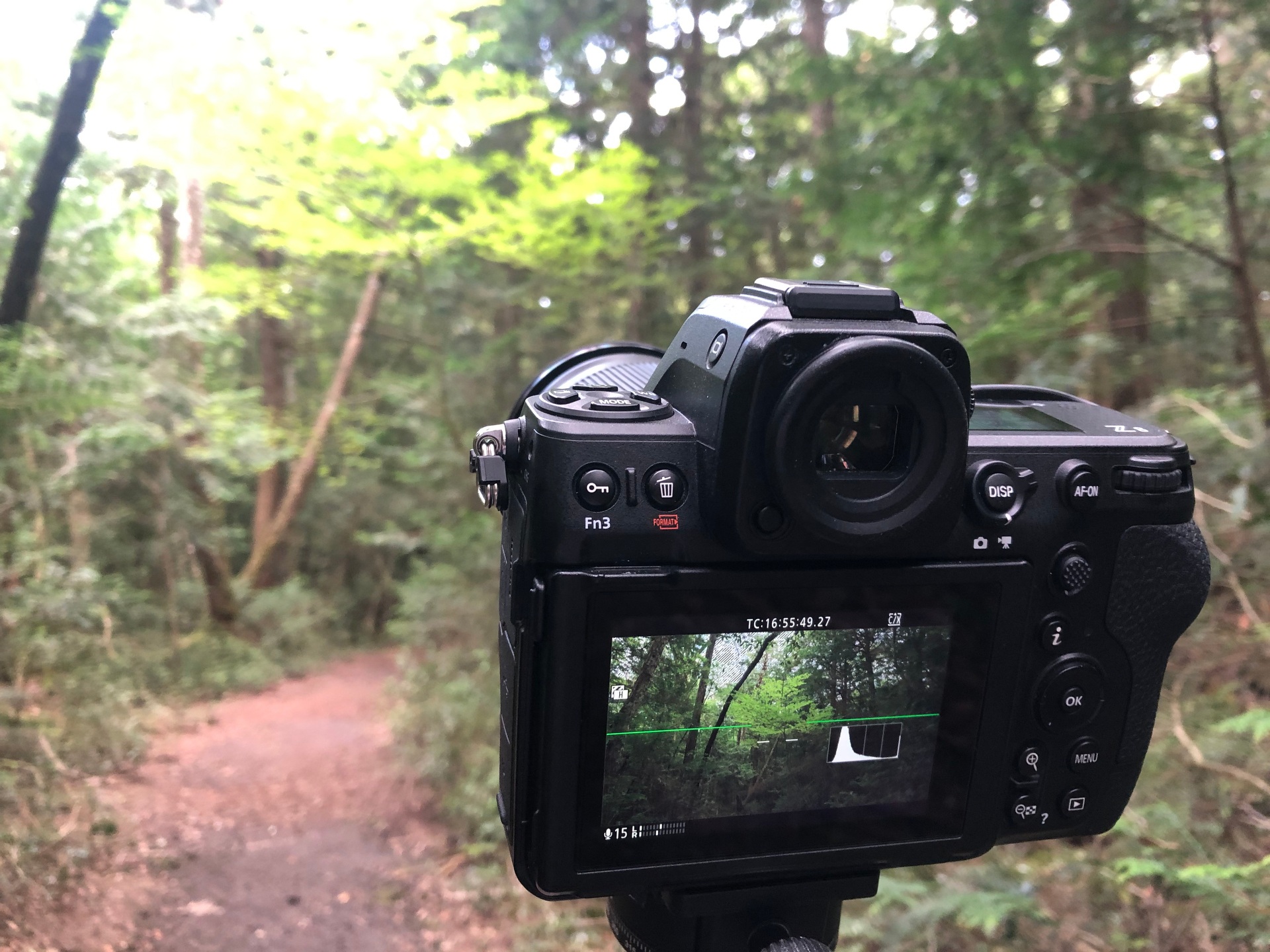 daya tangkap Nikon Z8 