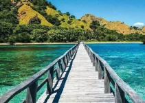 Pantai Manjarite: Surga Snorkeling Tersembunyi di Labuan Bajo yang Wajib Dikunjungi Pantai Manjarite: Surga Snorkeling Tersembunyi di Labuan Bajo yang Wajib Dikunjungi