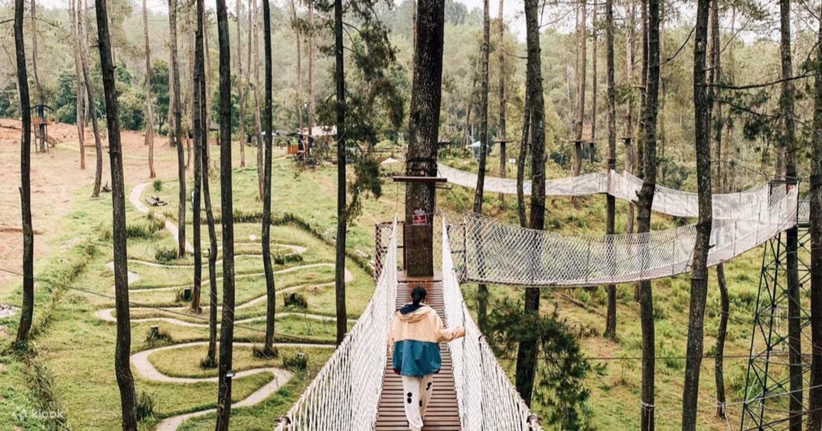 Orchid Forest Cikole