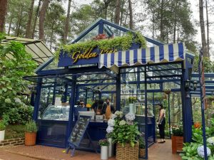 Orchid Forest Cikole: Surga Tersembunyi yang Menenangkan Jiwa