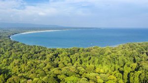 Taman Nasional Ujung Kulon, Surga Alam yang Masih Asri