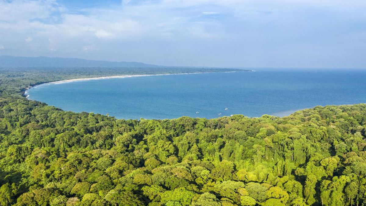 Pesona Alam Taman Nasional Ujung Kulon yang Sulit Ditandingi