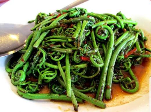 Midin Masak Belacan